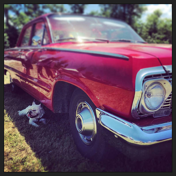 Restored 1962 Chevrolet impala car