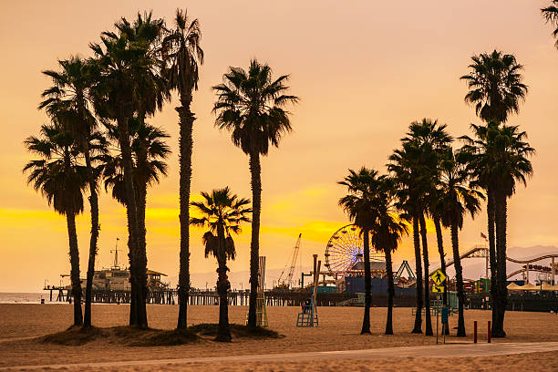 pier de santa monica beach e de pôr do sol - santa monica santa monica beach beach california imagens e fotografias de stock