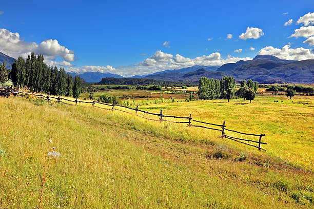 Picturesque rural landscape. Light wood fences are installed on the slopes of the hilly land. South America, Chile