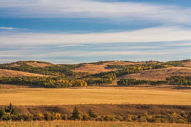 Photo of Autumn in the Alberta foothills.