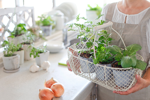 Kitchen table with spices and dry herbs on white kitchen background with copy space, top view