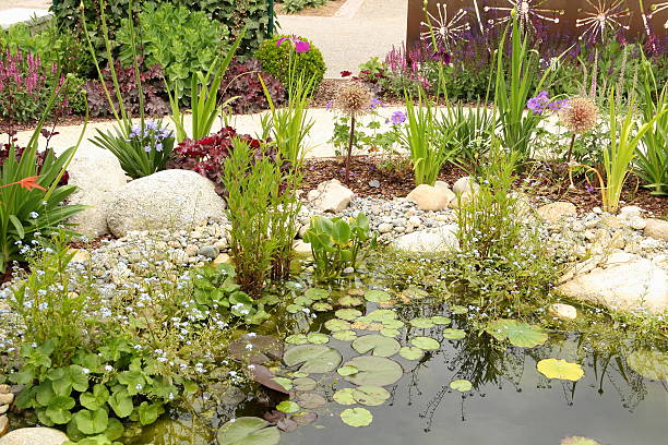 istock Beautiful garden design with pond 481336951