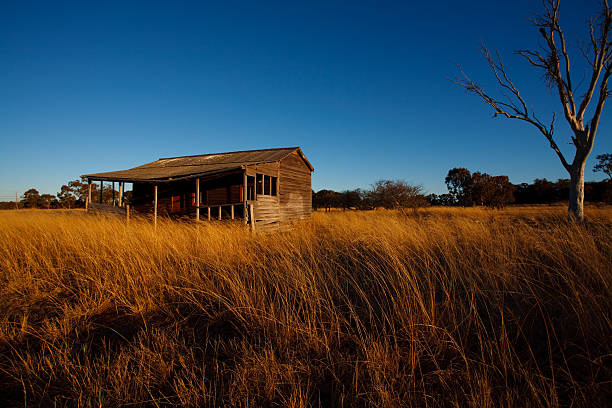 country farm casa - australian culture scenics australia panoramic imagens e fotografias de stock