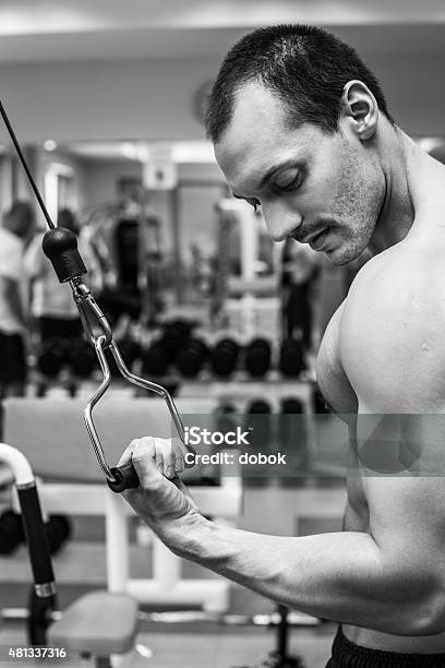 Muscular Bodybuilder Stock Photo - Download Image Now - 2015, Active Lifestyle, Adult