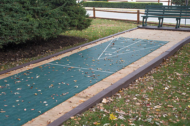 istock Shuffleboard on green ground with Autumn leaf 481337416