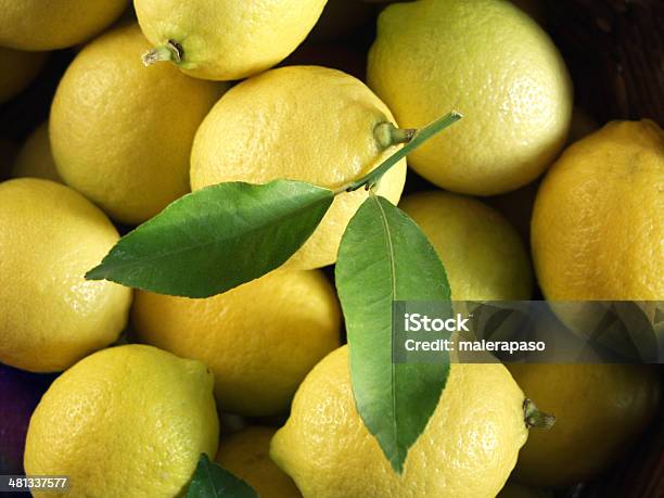 Limones Foto de stock y más banco de imágenes de Alejandro Foglia - Alejandro Foglia, Alimento, Amarillo - Color