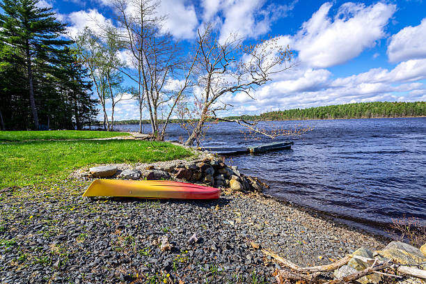 istock Bright sunny day on the lake. 481337636