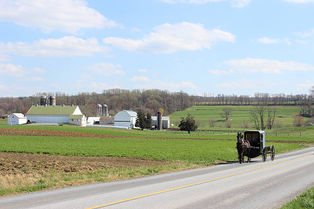 An Amish buggy hauls a washer down a rural gravel road in early winter.