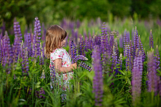 istock Girl with lupinus 481337908