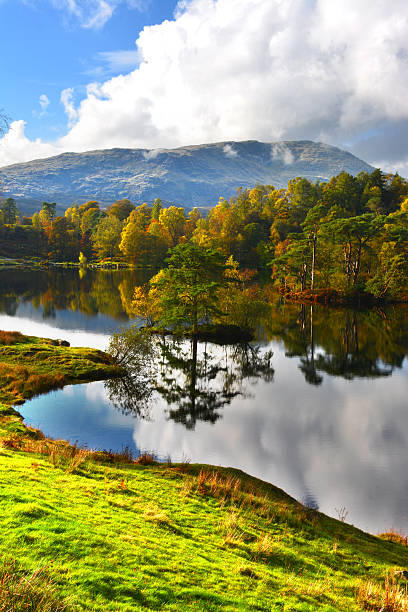 riflessioni in tarn hows. - old man of coniston foto e immagini stock