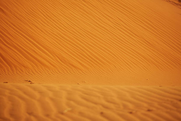 istock texture of sand in the desert from the winds 481341438