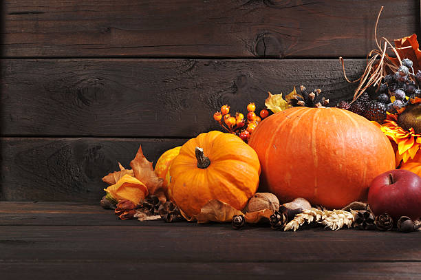 pumpkins - kurbis fotografías e imágenes de stock