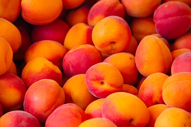 istock Apricots in a market 481345448