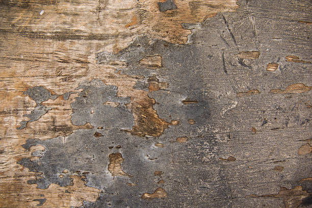 istock natural old wood background 481346000