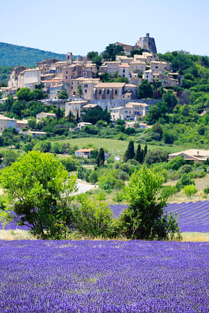 istock lavender field and a small town in Provence 481349934