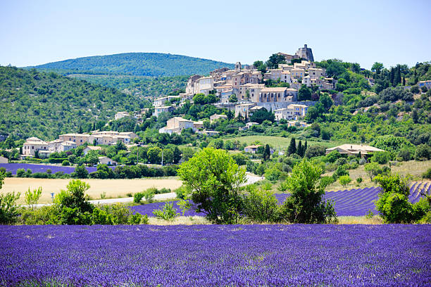 클린싱 필드 및 작은 마을의 provence - agriculture beauty in nature flower clear sky 뉴스 사진 이미지