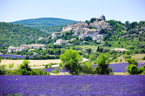 istock lavender field and a small town in Provence 481350050