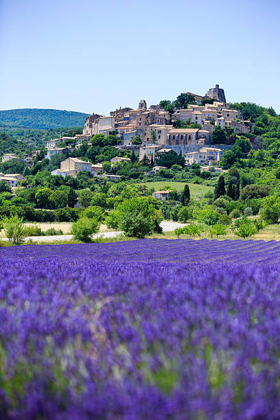 istock lavender field and a small town in Provence 481350080