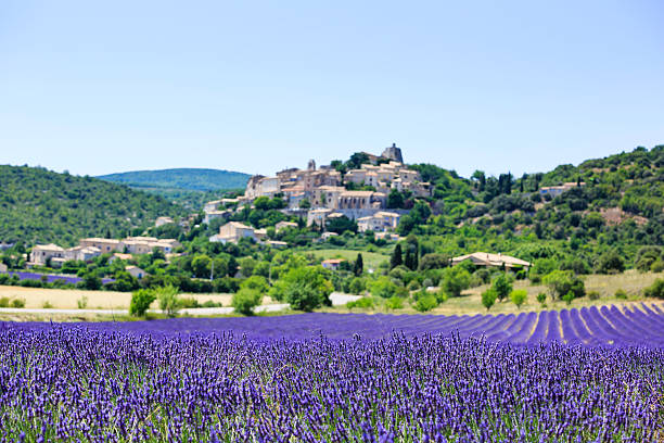 istock lavender field and a small town in Provence 481350128