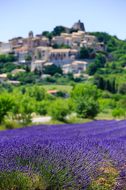 istock lavender field and a small town in Provence 481350170