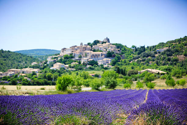 istock lavender field and a small town in Provence 481350208