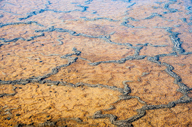 istock Salt Pans of Fuencaliente. 481351388