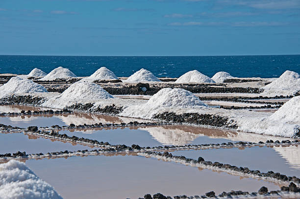 istock Salt Pans of Fuencaliente. 481351404