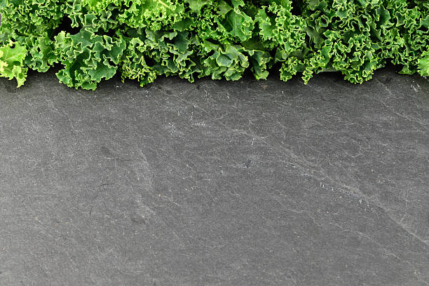 Curly Kale stock photo