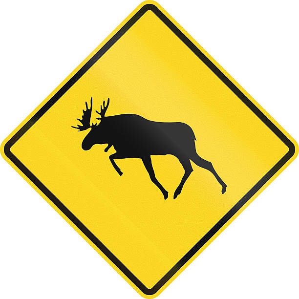 カナダのヘラジカの交差点 - moose crossing sign ストックフォトと画像