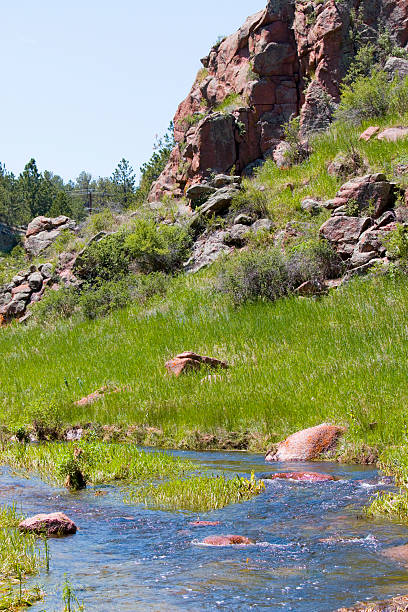 istock Guffey Gorge Creek and Guffey Creek 481355394