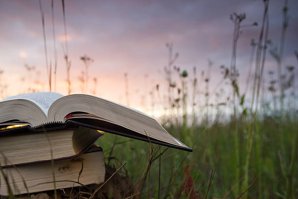 istock Opened hardback book with fanned pages on blurred nature background 481358242