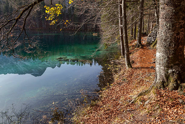 istock Fusine - Lake, Italy 481363050