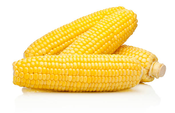 mazorca de maíz kernels peladas aislado sobre fondo blanco - corn corn crop corn on the cob isolated fotografías e imágenes de stock