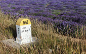 milestone and lavenders field