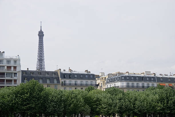 istock Eiffel Tower, Paris, France 481364099
