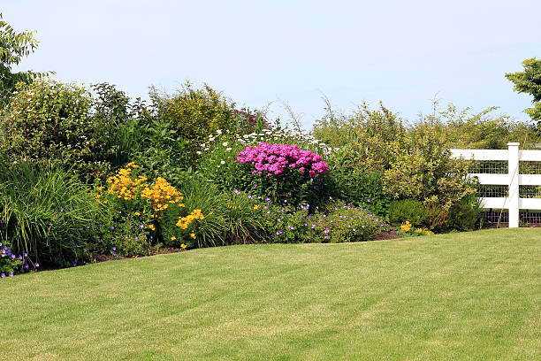 多年性植物園 - fence formal garden gardening ornamental garden ストックフォトと画像