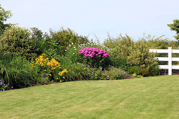 istock Perennial garden 481365434