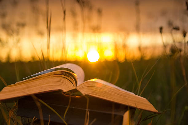 istock Opened hardback book with fanned pages on blurred nature background 481366276
