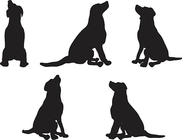 dog silhouette Vector Image - dog silhouette in default pose isolated on white background stray animal stock illustrations