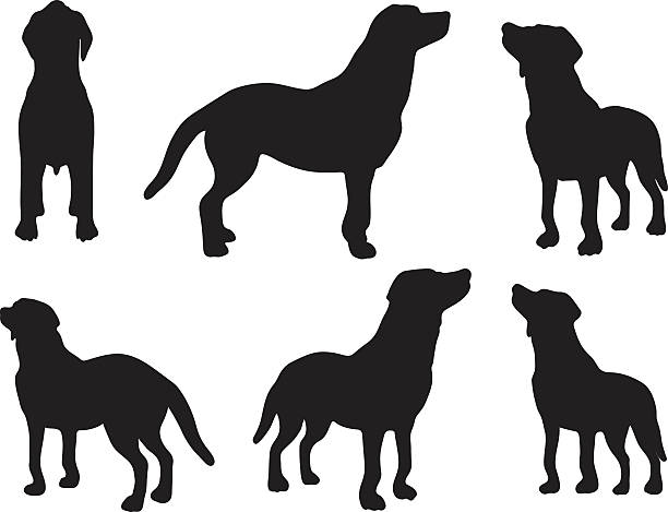 dog silhouette Vector Image - dog silhouette in default pose isolated on white background mixed breed dog stock illustrations