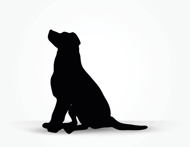 illustrations, cliparts, dessins animés et icônes de silhouette de chien - tyke