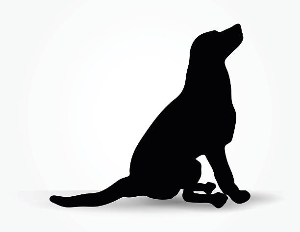 dog silhouette Vector Image - dog silhouette in default pose isolated on white background stray animal stock illustrations