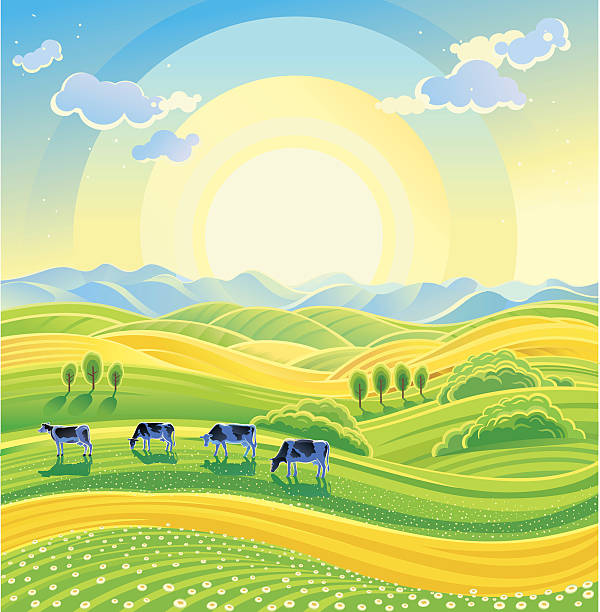 Summer landscape and cows. Sunny summer landscape and herd of cows on the meadow. Vector illustration. herd of cows stock illustrations