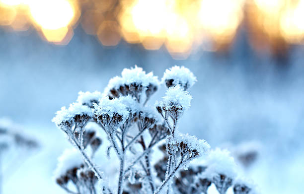 istock Winter landscape.Winter scene 481373616