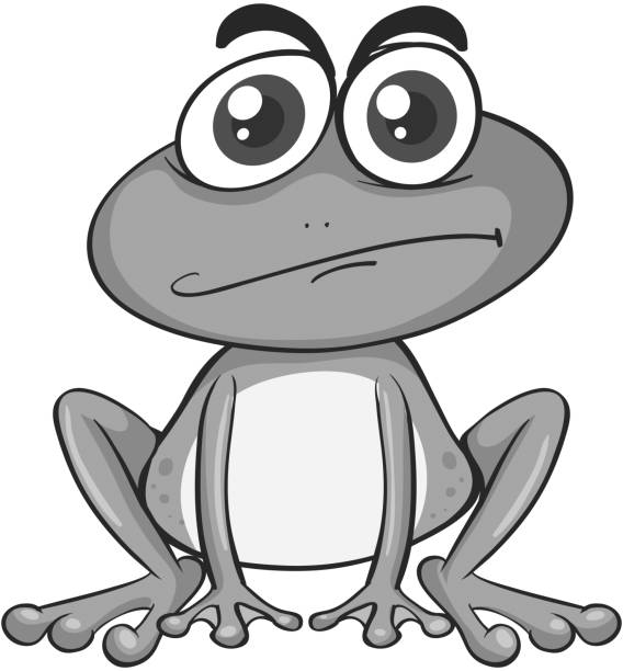 ilustrações de stock, clip art, desenhos animados e ícones de de animal - white background close up frog amphibian