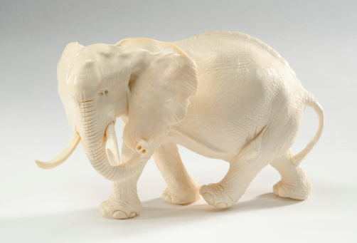 Carved ivory elephant on a white background, circa 1920's.
