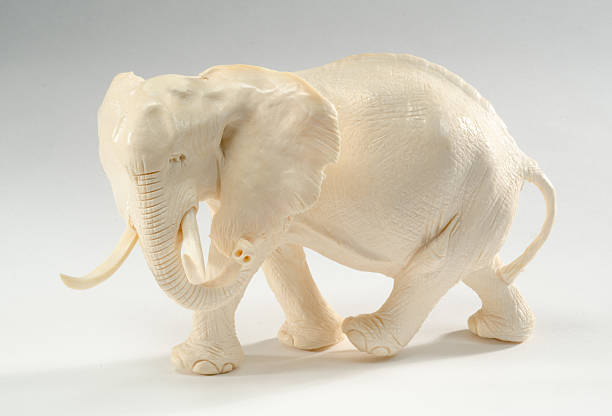 Carved Ivory Elephant Carved ivory elephant on a white background, circa 1920's. elephant figurine stock pictures, royalty-free photos & images