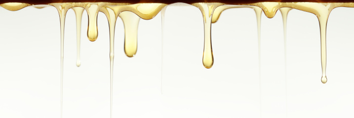 panoramic honey dripping , studio shot.