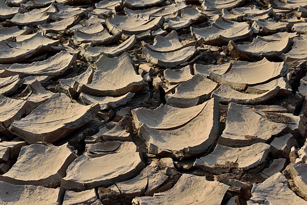 réchauffement de la planète - global warming cracked dirt earth photos et images de collection