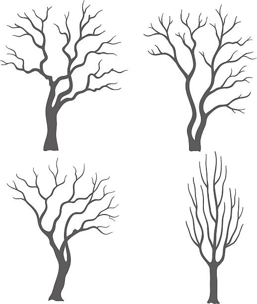 나무 실루엣 - tree silhouette branch bare tree stock illustrations